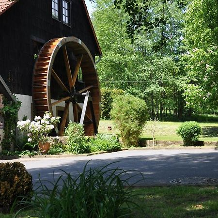 Отель Landgasthof Geiersmuhle Vielbrunn Экстерьер фото