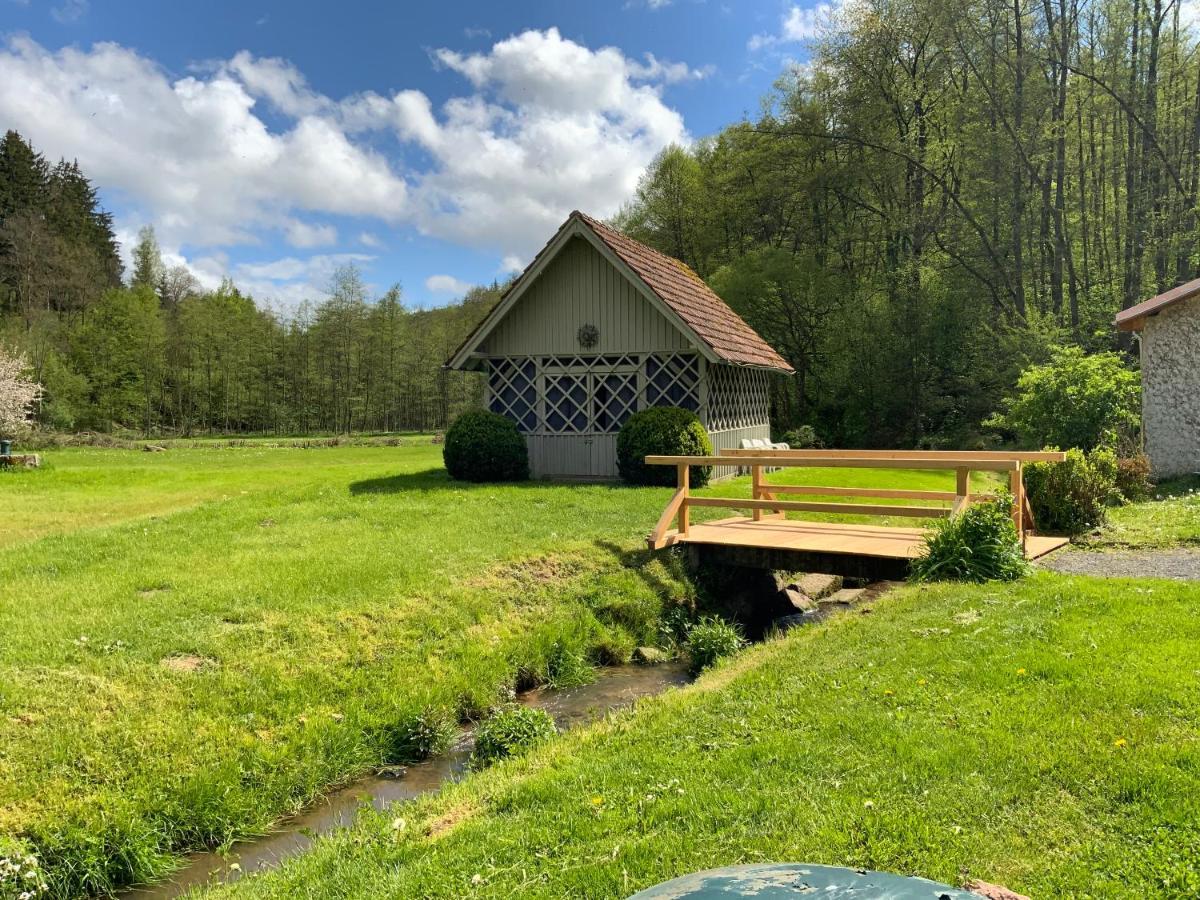 Отель Landgasthof Geiersmuhle Vielbrunn Экстерьер фото