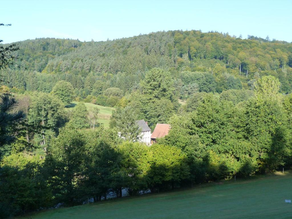 Отель Landgasthof Geiersmuhle Vielbrunn Экстерьер фото